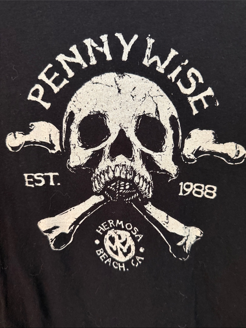 Pennywise Next Level Apparel Black Short Sleeve Skull Graphic Band T Punk - Picture 2 of 5
